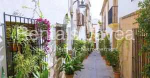 Appartement à louer en hiver dans la vieille ville de Javea
